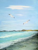 Strand - Meeuw