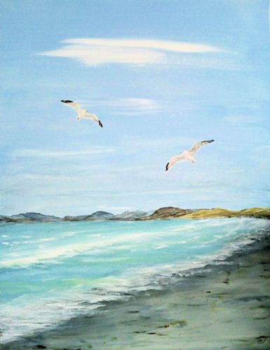 Strand - Meeuw