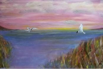 Water - Vogels