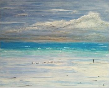 Schapen - Strand