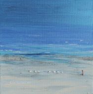 Strand, Schapen