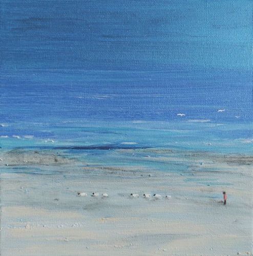 Strand, Schapen