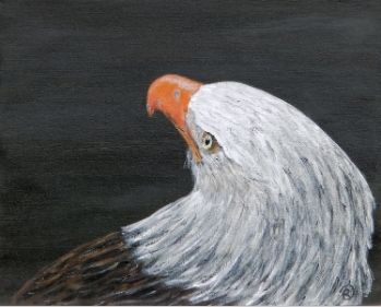 Eagle