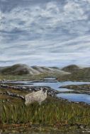 Schaap - Loch