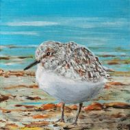 Strandloper