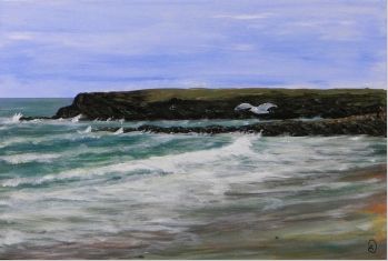 Zee - Meeuw - Strand